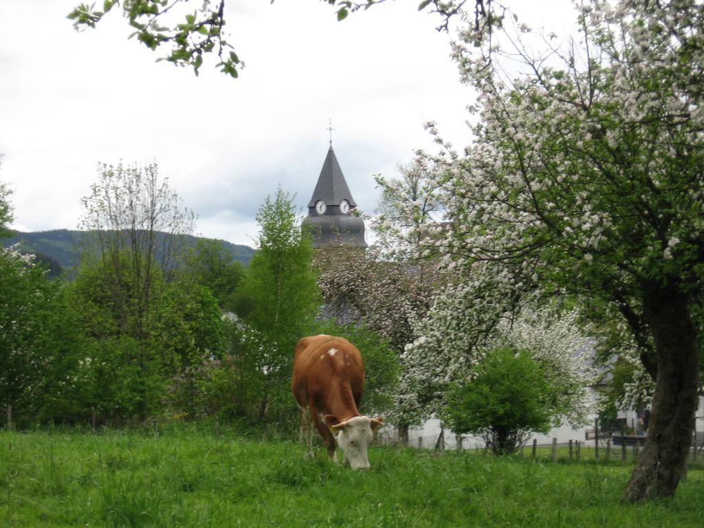 Ferienwohnung Moos-Hochsauerland Wiemeringhausen Rom bilde