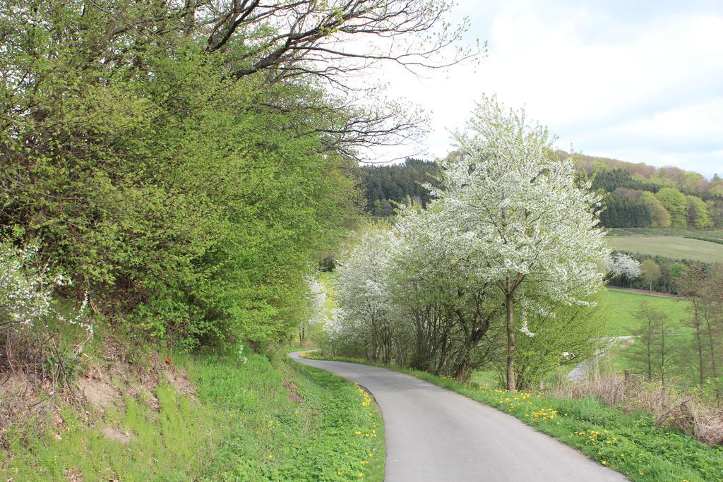 Ferienwohnung Moos-Hochsauerland Wiemeringhausen Rom bilde